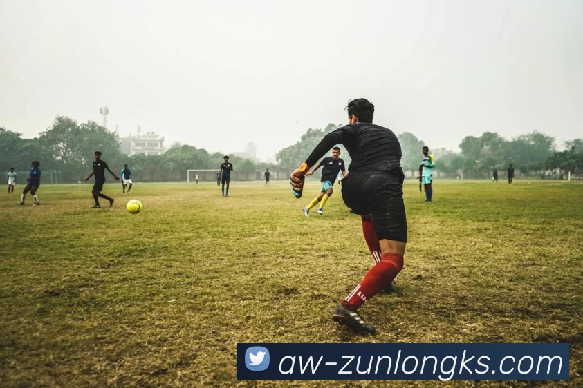 尊龙凯时官网平台生态图