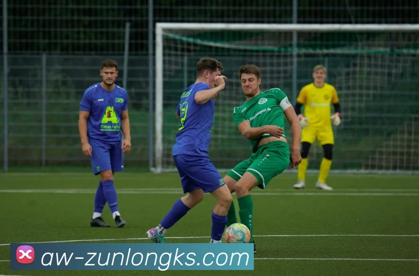 尊龙凯时官网APP 封面图