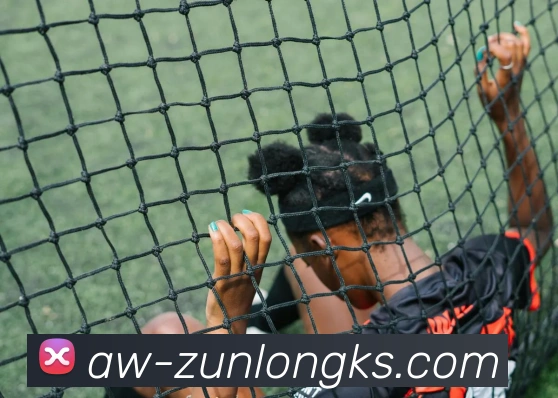 数据防护可视化