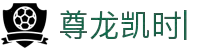 尊龙凯时app-顶级互动娱乐平台 | 在线体验多样趣味游戏